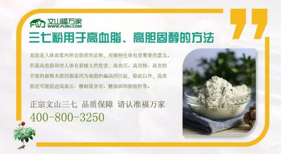 三七粉用于高血脂